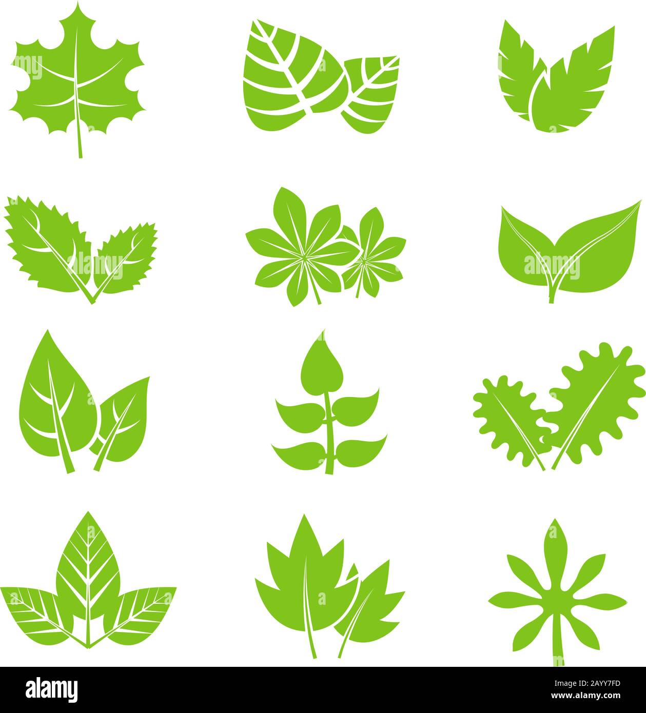 Green leaves vector icons set. Natural eco organic elements illustration Stock Vector