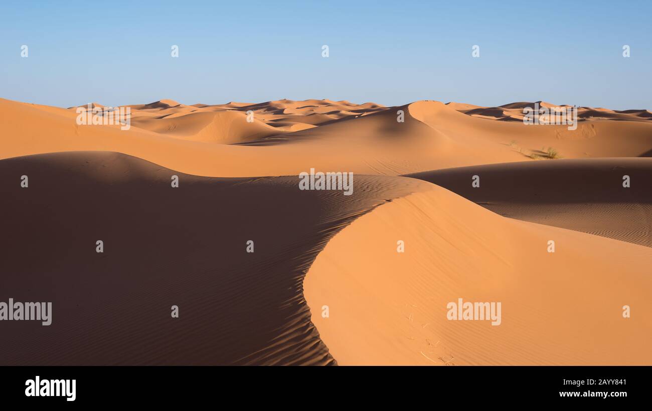 Sand landscapes and dunes in the Sahara desert. Stock Photo