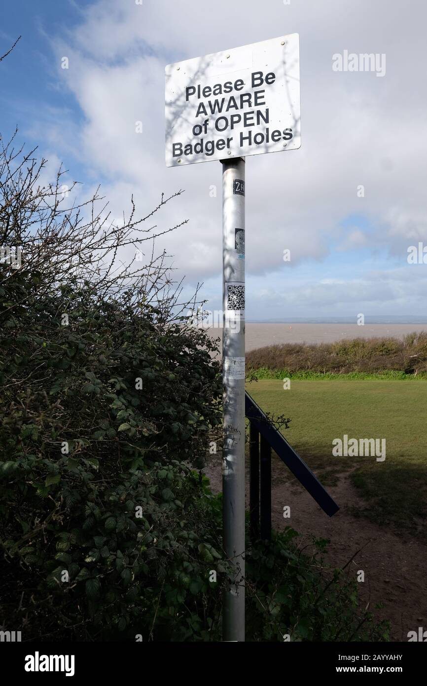 February 2020 - Open badger holes warning sign in Portishead, North Somerset, UK. Stock Photo