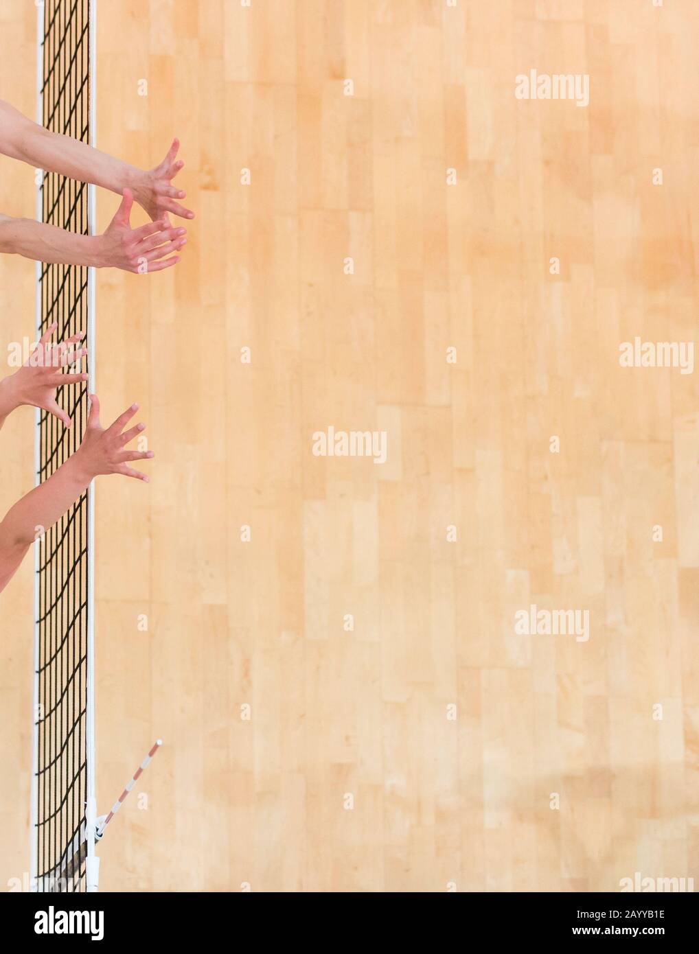 Volleyball game sport with group of girls indoor. Hands over the net