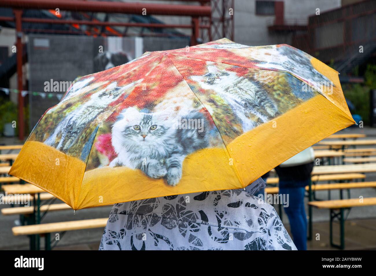 Woman with an umbrella with cat motives, Stock Photo