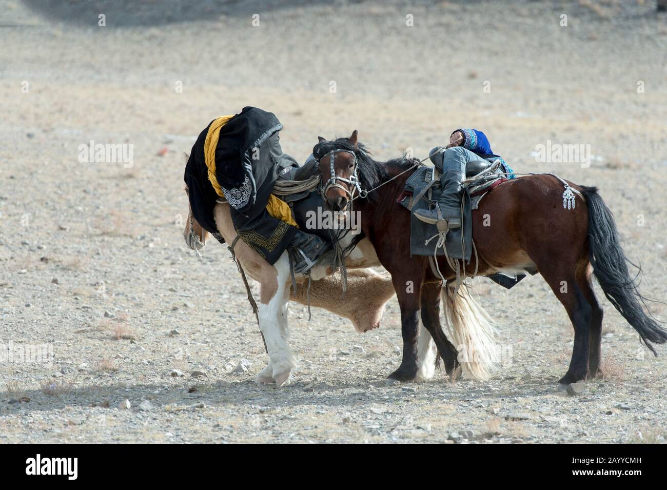 Mongolian traditional game hires stock photography and images Alamy