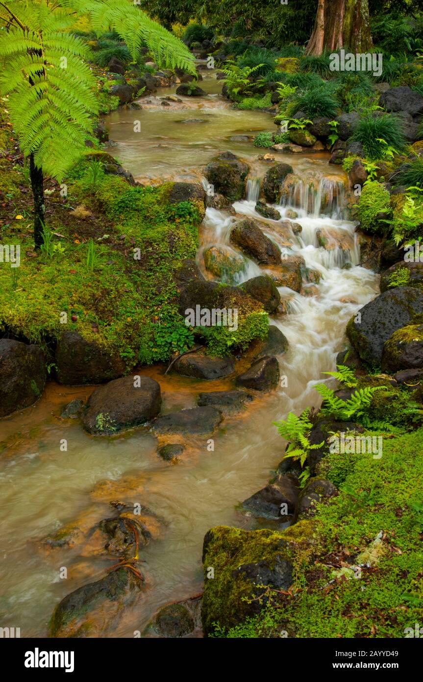 A creek with a small waterfall in the Terra Nostra Botanical Gardens in  Furnas on Sao Miguel Island in the Azores, Portugal Stock Photo - Alamy