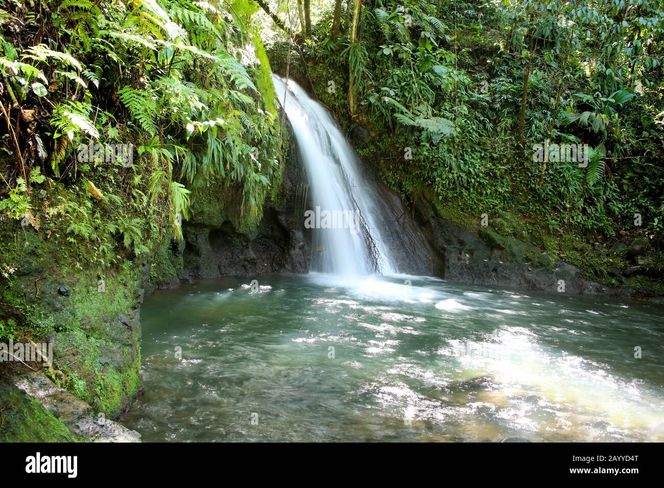 Guadeloupe Waterfalls High Resolution Stock Photography And Images Alamy