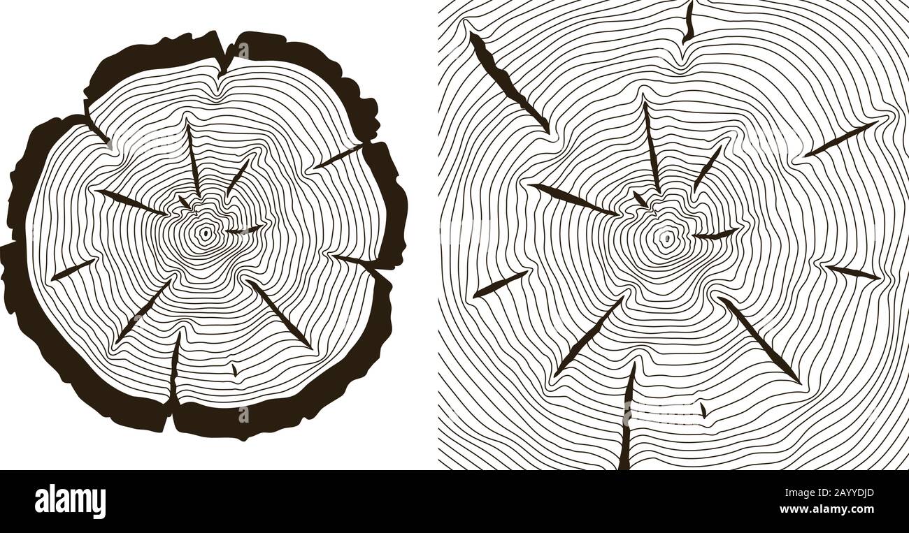 Tree growth rings, saw trunk cuts . Wooden tree rings or incision trunk of tree. Vector illustration Stock Vector