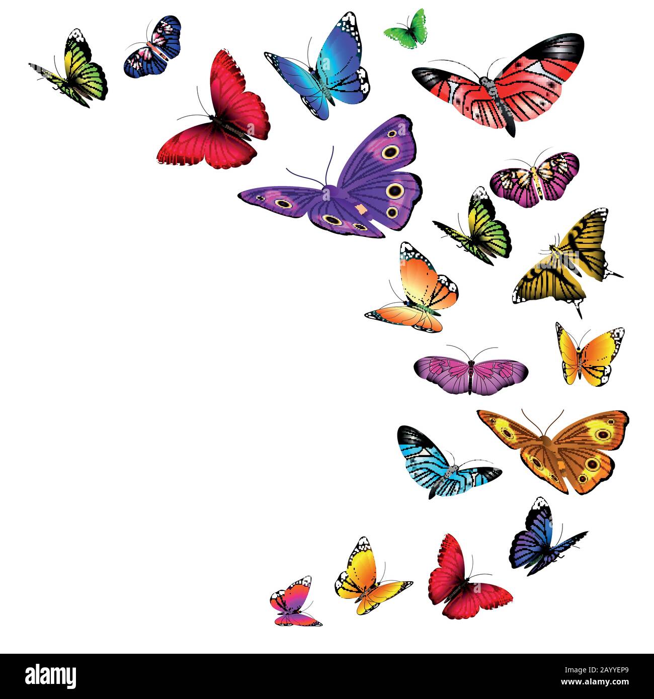 Vector background with flying butterflies. Flow wild butterflies and  illustration summer butterfly with color wing Stock Vector Image & Art -  Alamy