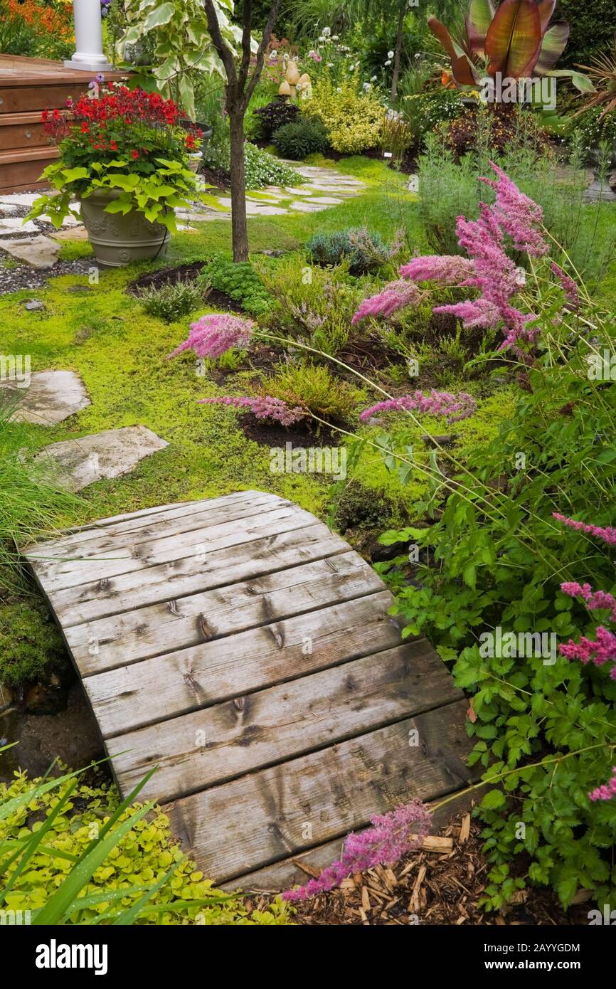Pink Astilbes next to a wooden footbridge and flagstone path leading to a planter with red Pelargonium - Geraniums and Ipomoea batatas Morning Glory. Stock Photo