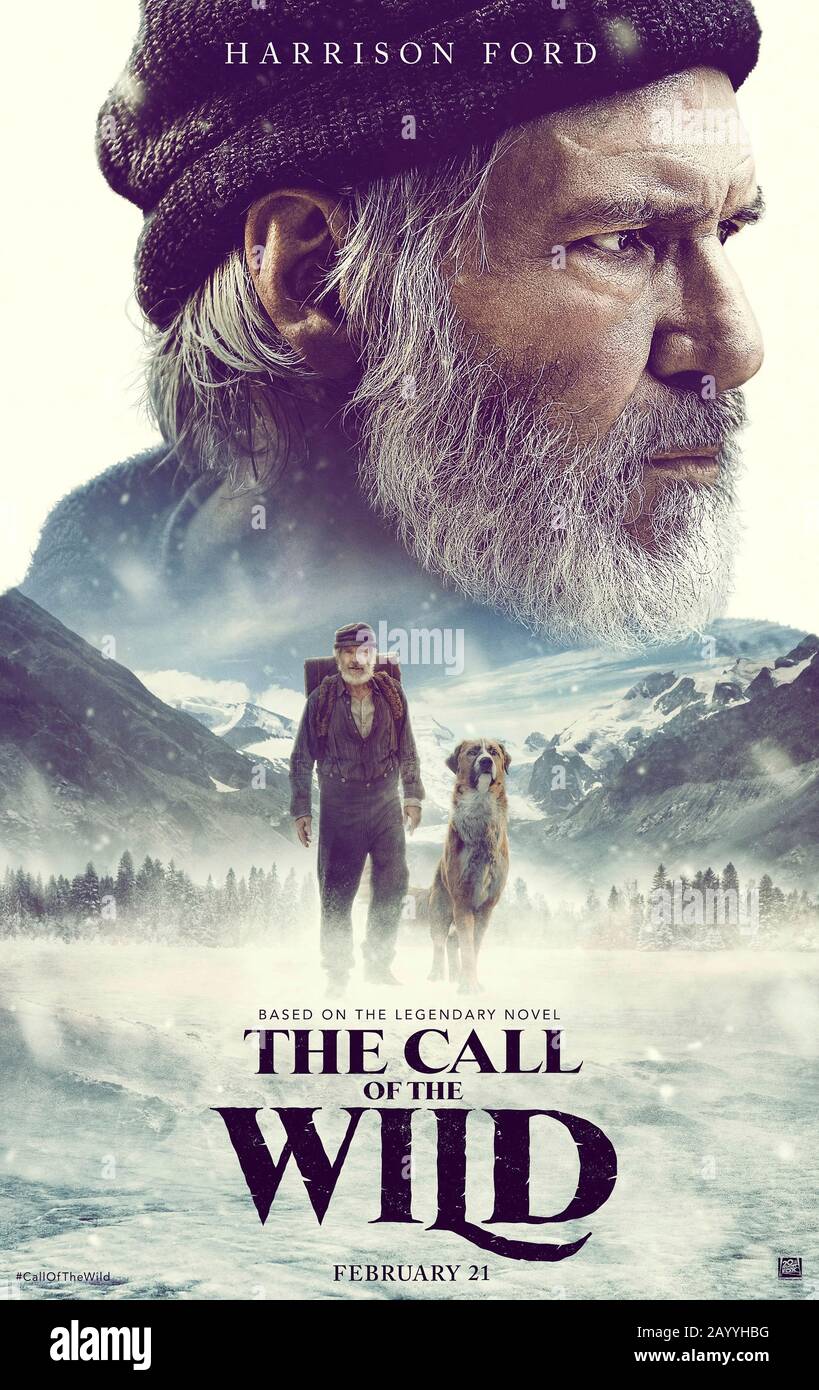 The Call of the Wild (2020) directed by Chris Sanders and starring Karen Gillan, Harrison Ford, Cara Gee and Dan Stevens. Jack London's tale set during the 1890s Klondike Gold Rush about a sled dog named Buck hits the big screen. Stock Photo