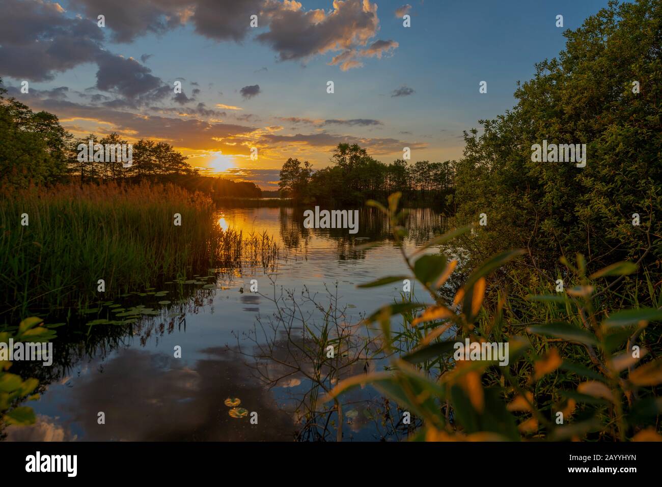 lake Schaalsee at sunset, Germany, Mecklenburg-Western Pomerania ...