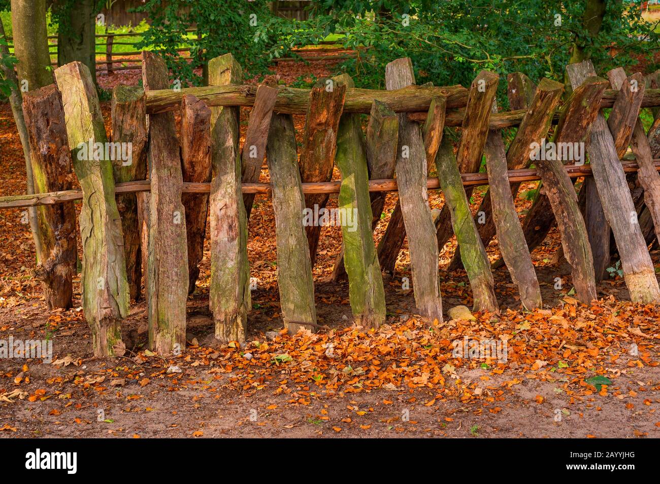 fence mad of oek wood in Luneburger Heide, Germany, Lower Saxony, Wilsede, Bispingen Stock Photo