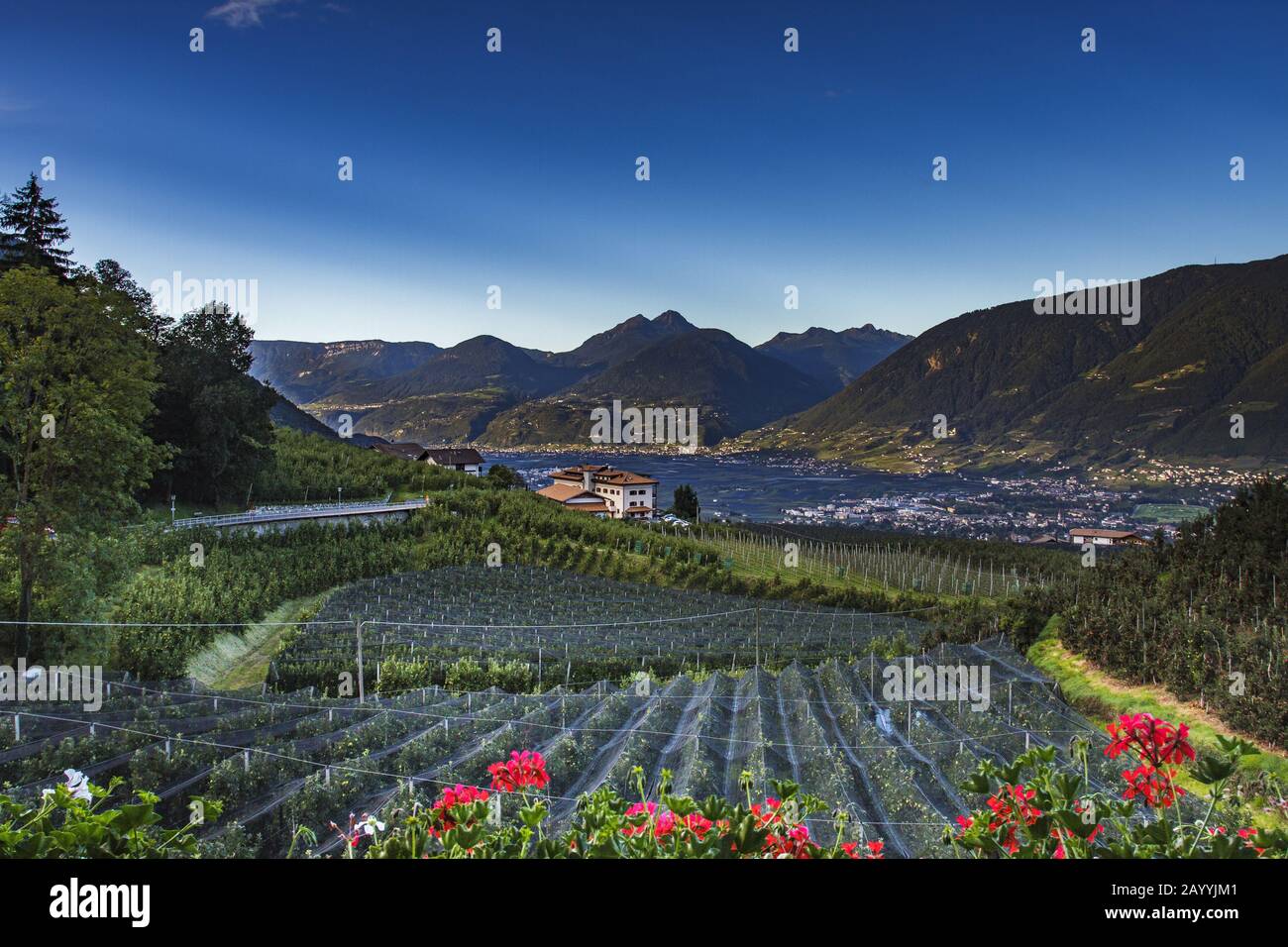 panoramic view from Schenna over Meran, Italy, South Tyrol Stock Photo