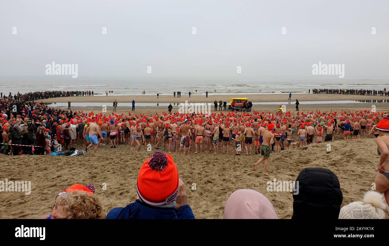 swimmers with orange booble caps on the North Sea coast at the