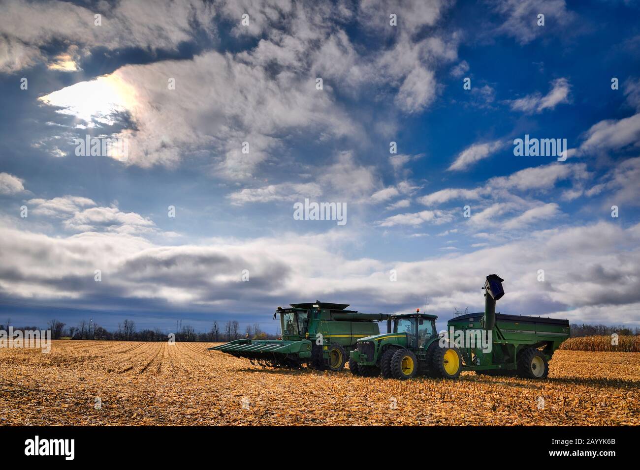 Last harvest - Combine Harvester on the field Stock Photo