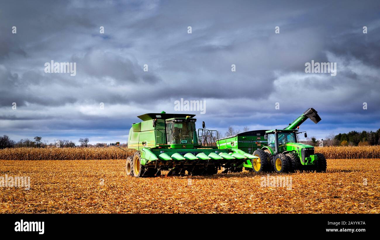 Last harvest - Combine Harvester on the field Stock Photo