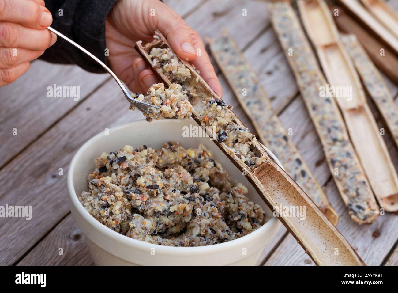 hollow plant stems are halved to fill with selfmade bird food, Germany Stock Photo