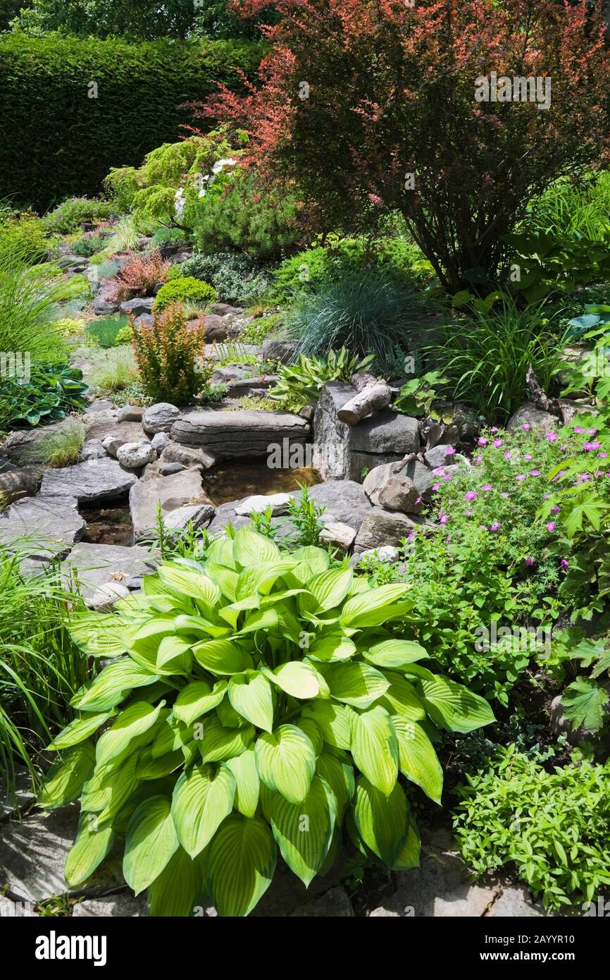 Garden pond shrub border hi-res stock photography and images - Alamy
