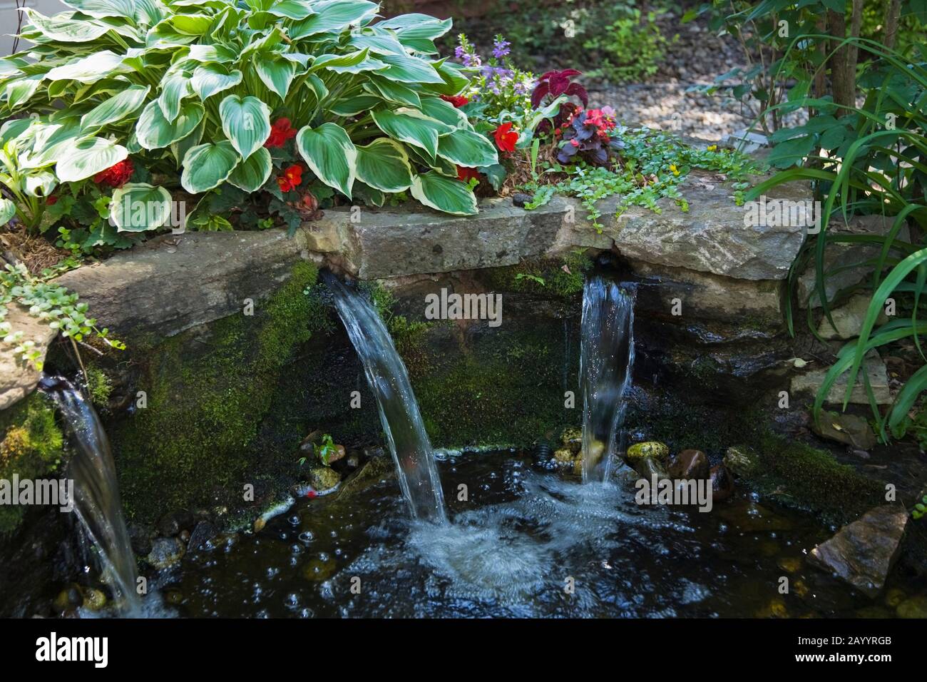 Water spouts hires stock photography and images Alamy
