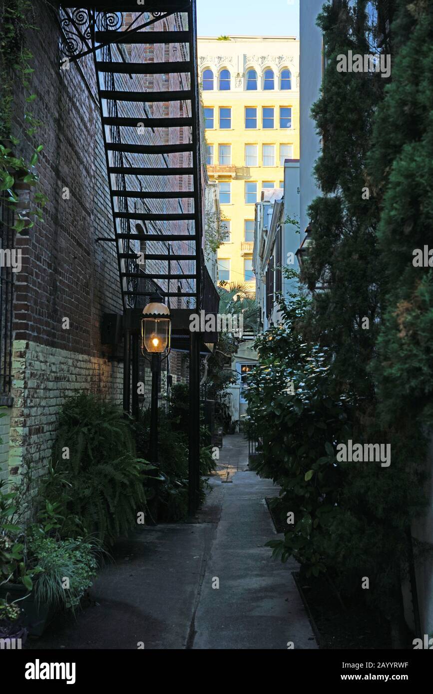 CHARLESTON SC 21 NOV 2019 View Of The Charleston Old And Historic charleston-sc-21-nov-2019-view-of-the-charleston-old-and-historic