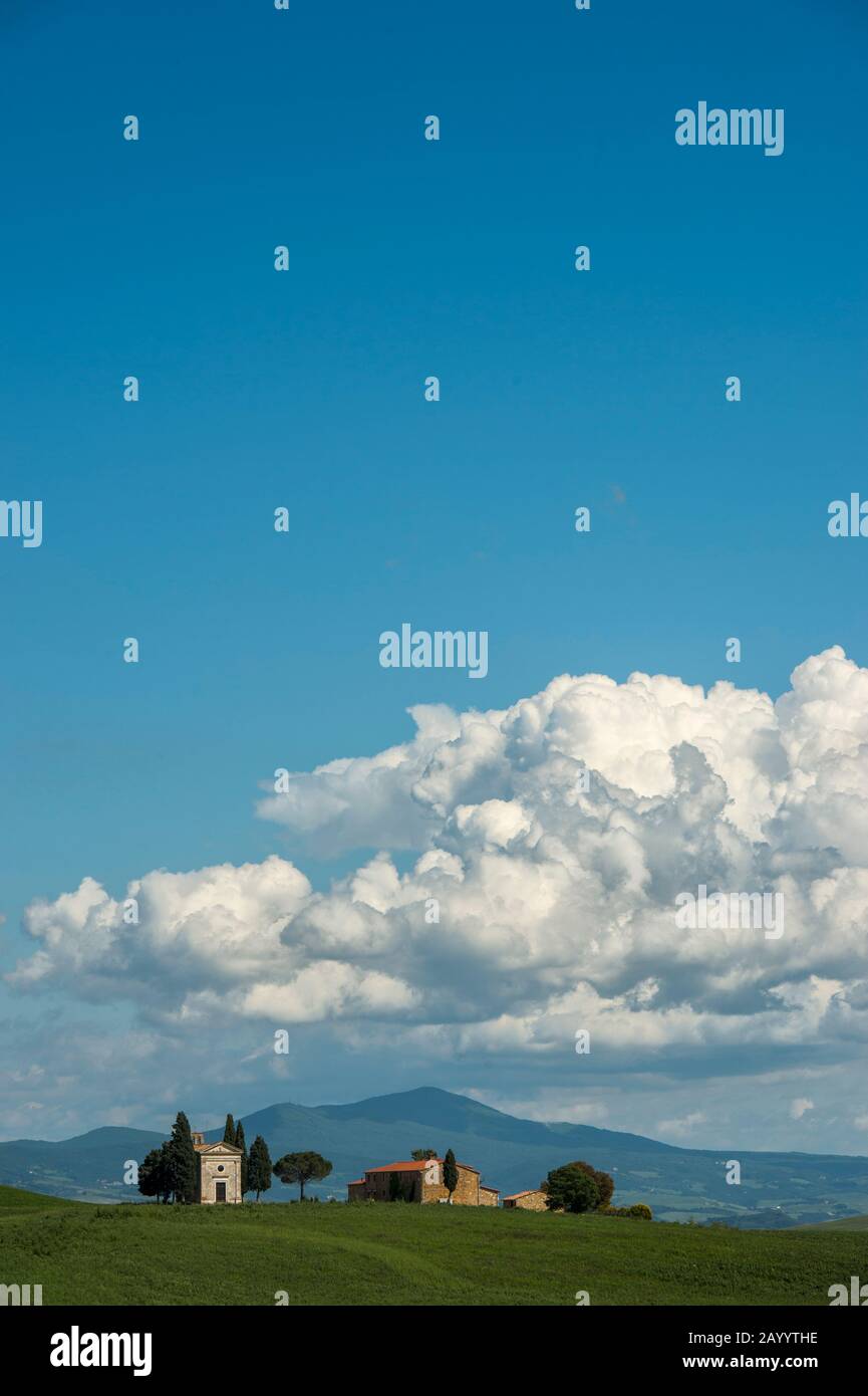 Italy, Tuscany, old canteen in Val dOrcia area dedicated to wine production  Stock Photo - Alamy