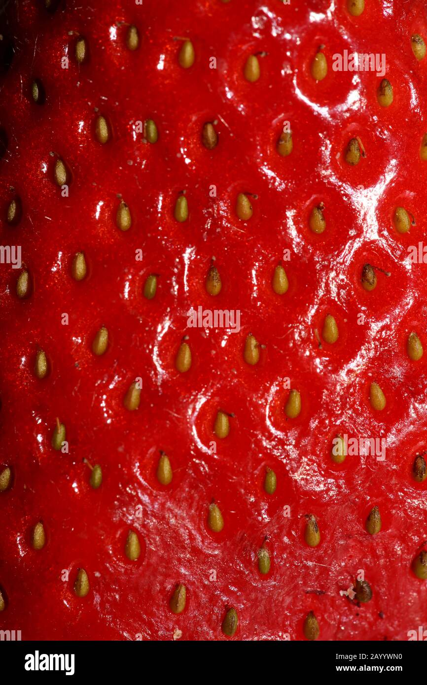 Strawberry macro background modern high quality prints close up Stock ...