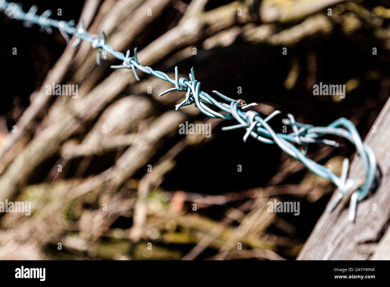 Old farm buildings, Wynyard, Teesside Stock Photo Alamy