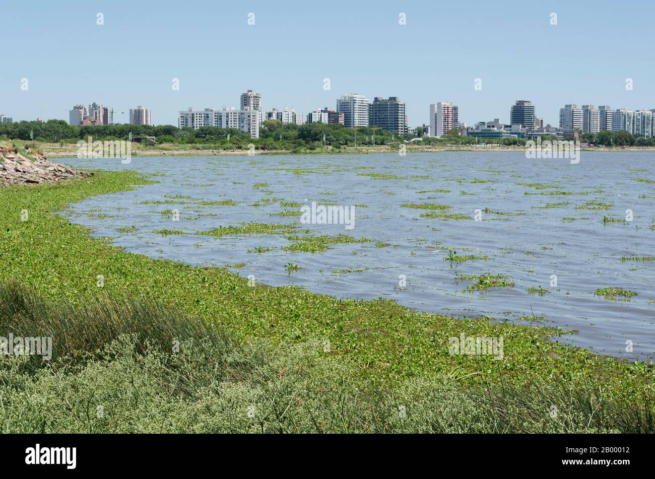Parque riverside california hires stock photography and images Alamy