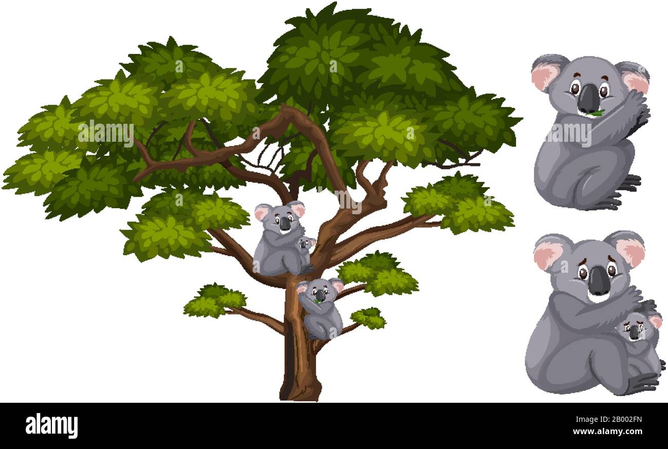 Big green tree and koalas on the branch illustration Stock Vector Image ...
