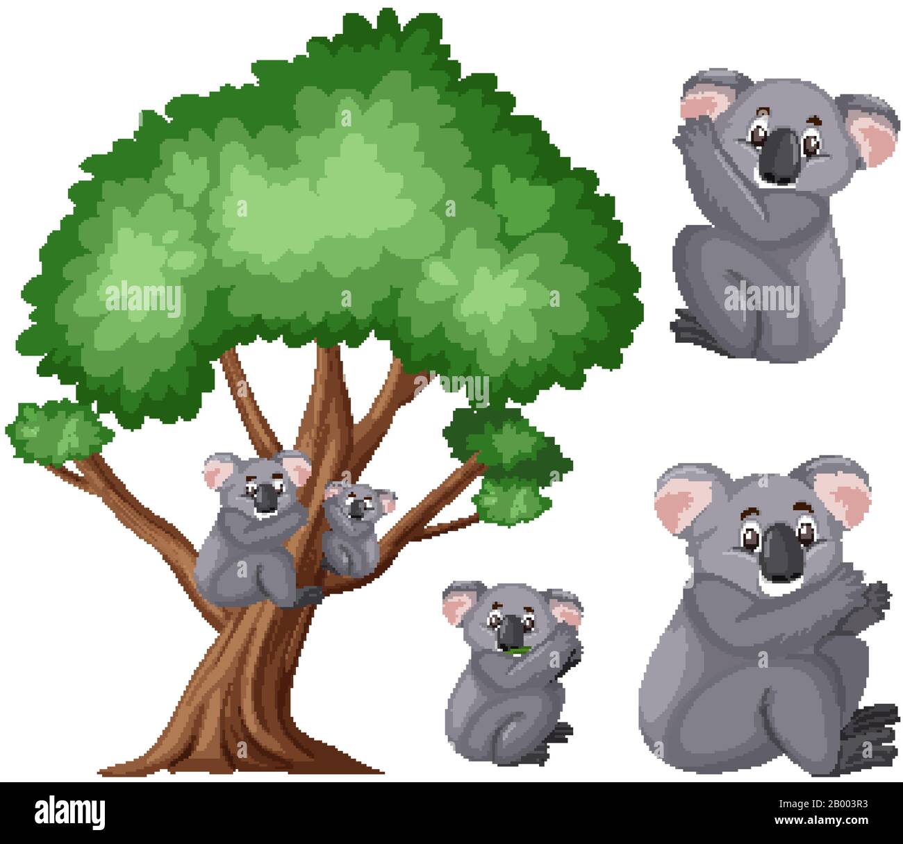 Cute koalas on the big tree on white background illustration Stock ...