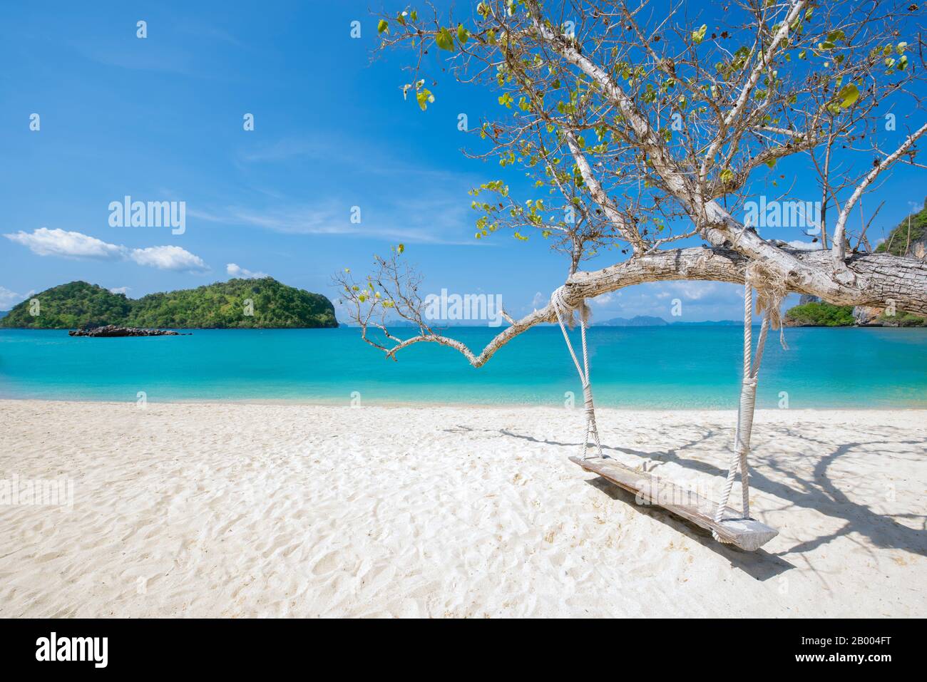Wooden swing hang under tree at Koh Phak Bia Island, Krabi, Thailand