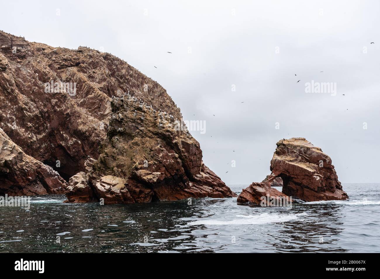 Sea lions enjoying nice weather at Ballestas Islands Peru South America Stock Photo