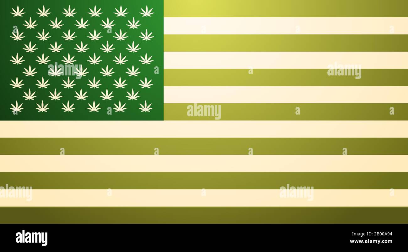 green USA flag with marijuana leaves cannabis legalization concept horizontal vector illustration Stock Vector