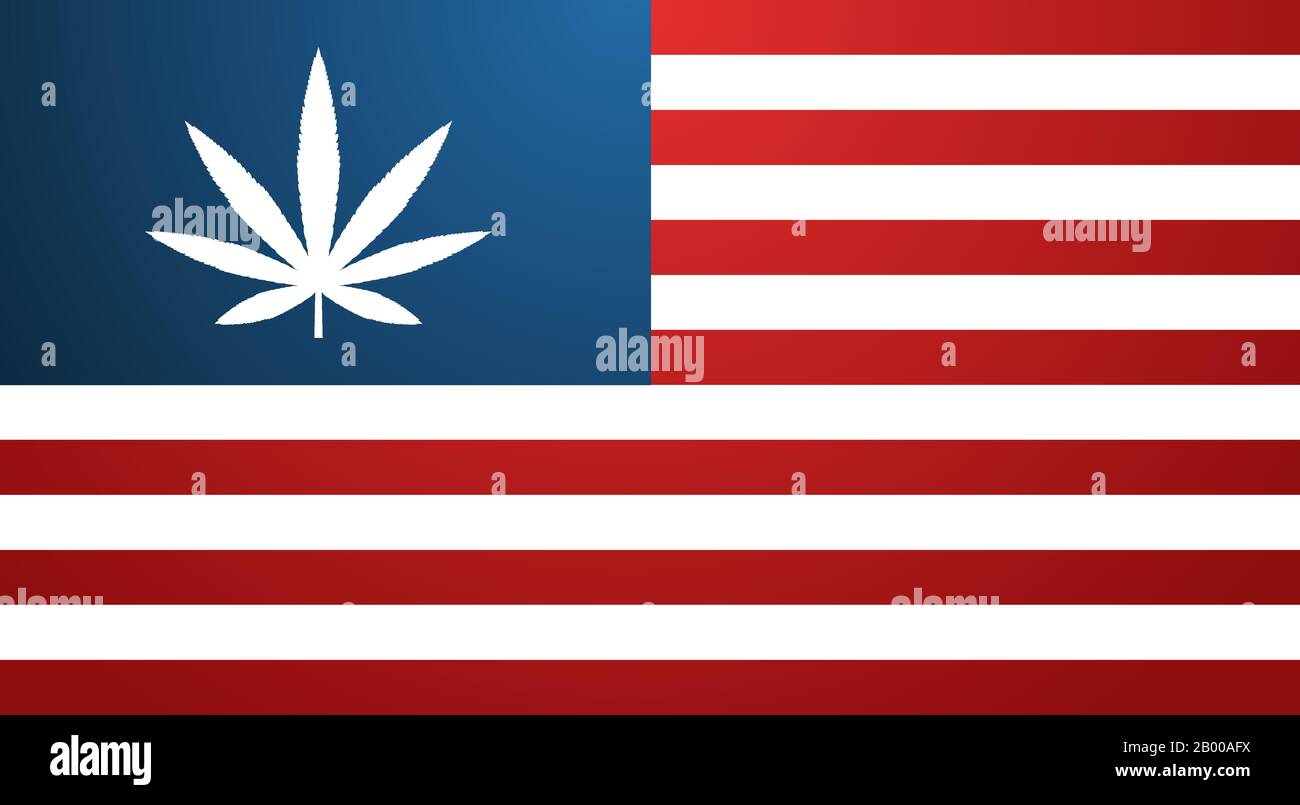 USA flag with marijuana leaf cannabis legalization concept horizontal vector illustration Stock Vector
