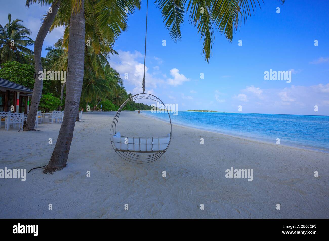 A beautiful swing hanging from a coconut tree in the beach of a resort (Sun Island, Maldives) Stock Photo