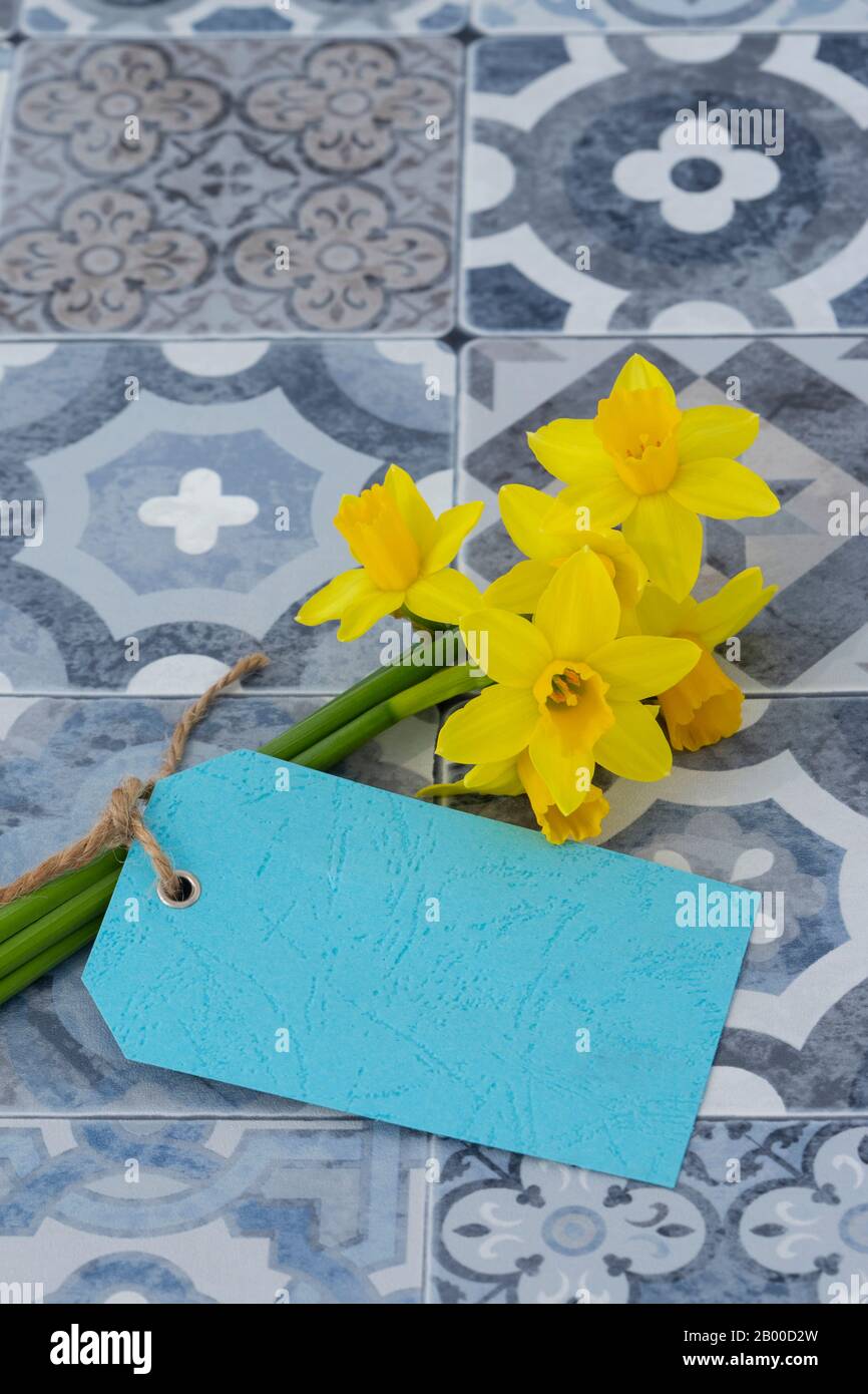 Daffodil bunch string hires stock photography and images Alamy