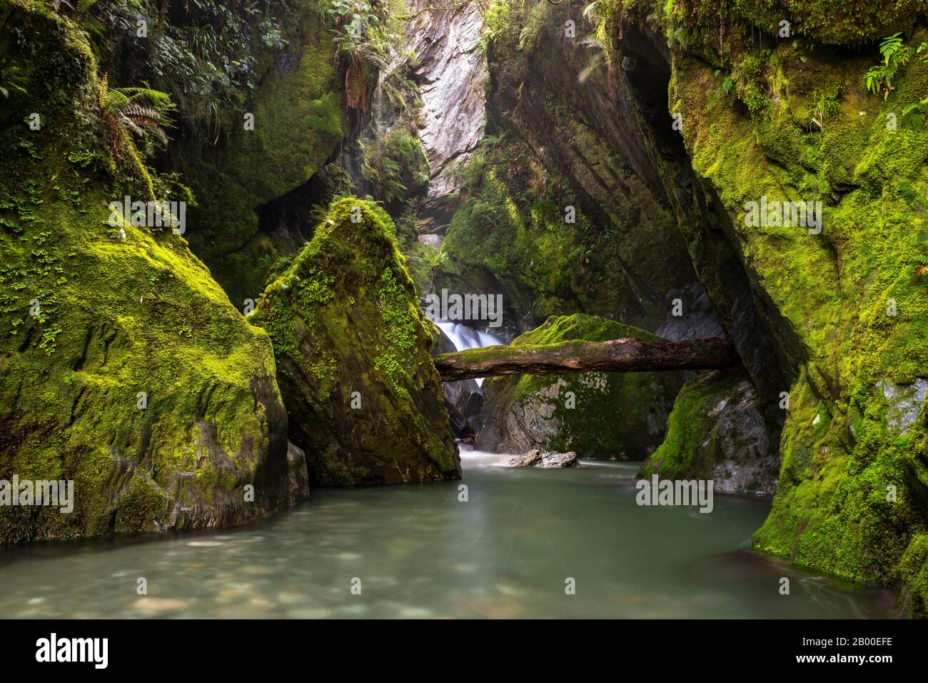 Narrow gorge with waterfall, Robinsons Creek, Haast Pass, West Coast, South Island, New Zealand Stock Photo