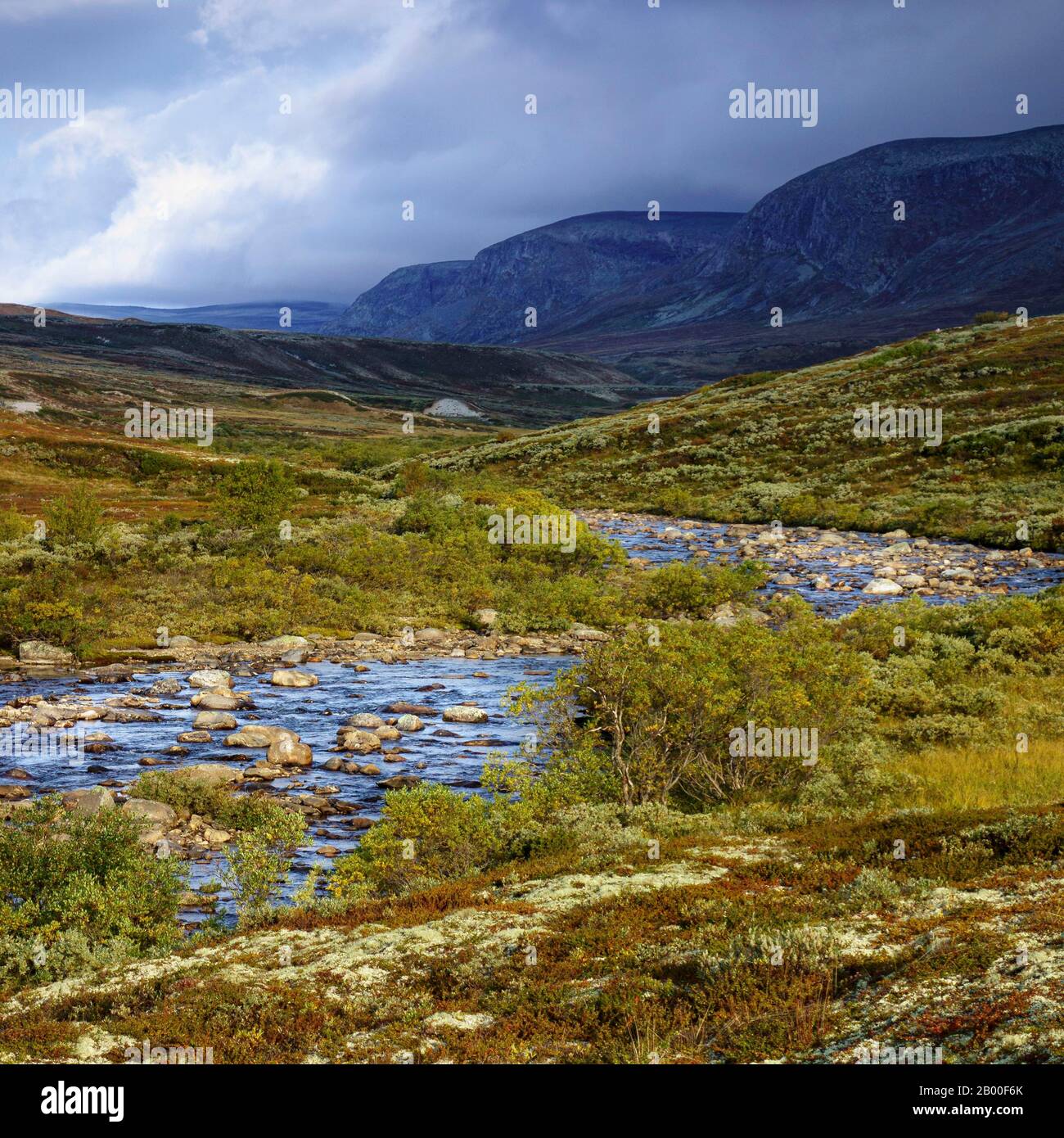 mountain-landscape-river-dovrefjell-sunndalsfjella-national-park