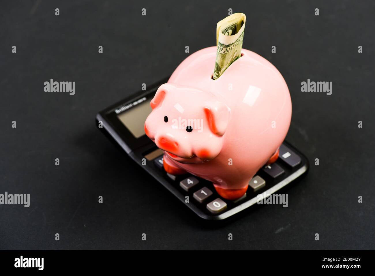 World of rich men. family budget. bookkeeping. financial report. piggy