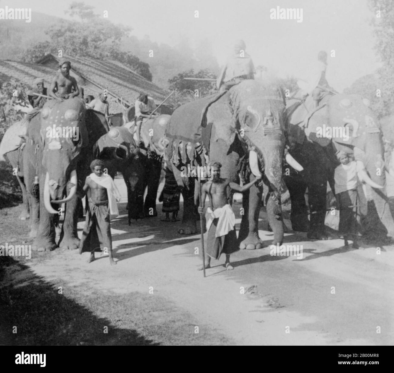 Sri Lanka: Buddhist procession going to bring new rice to the Temple of the Tooth, Kandy, 1903.  Esala Perahera (the Festival of the Tooth) is the grand festival of Esala held in Kandy in Sril Lanka every July or August. Known for its elegant costumes, it has become a unique symbol of Sri Lanka. It is a Buddhist festival consisting of dances and nicely decorated elephants. There are fire dances, whip dances, Kandian dances and various other cultural dances. Elephants are usually adorned with lavish garments. Stock Photo