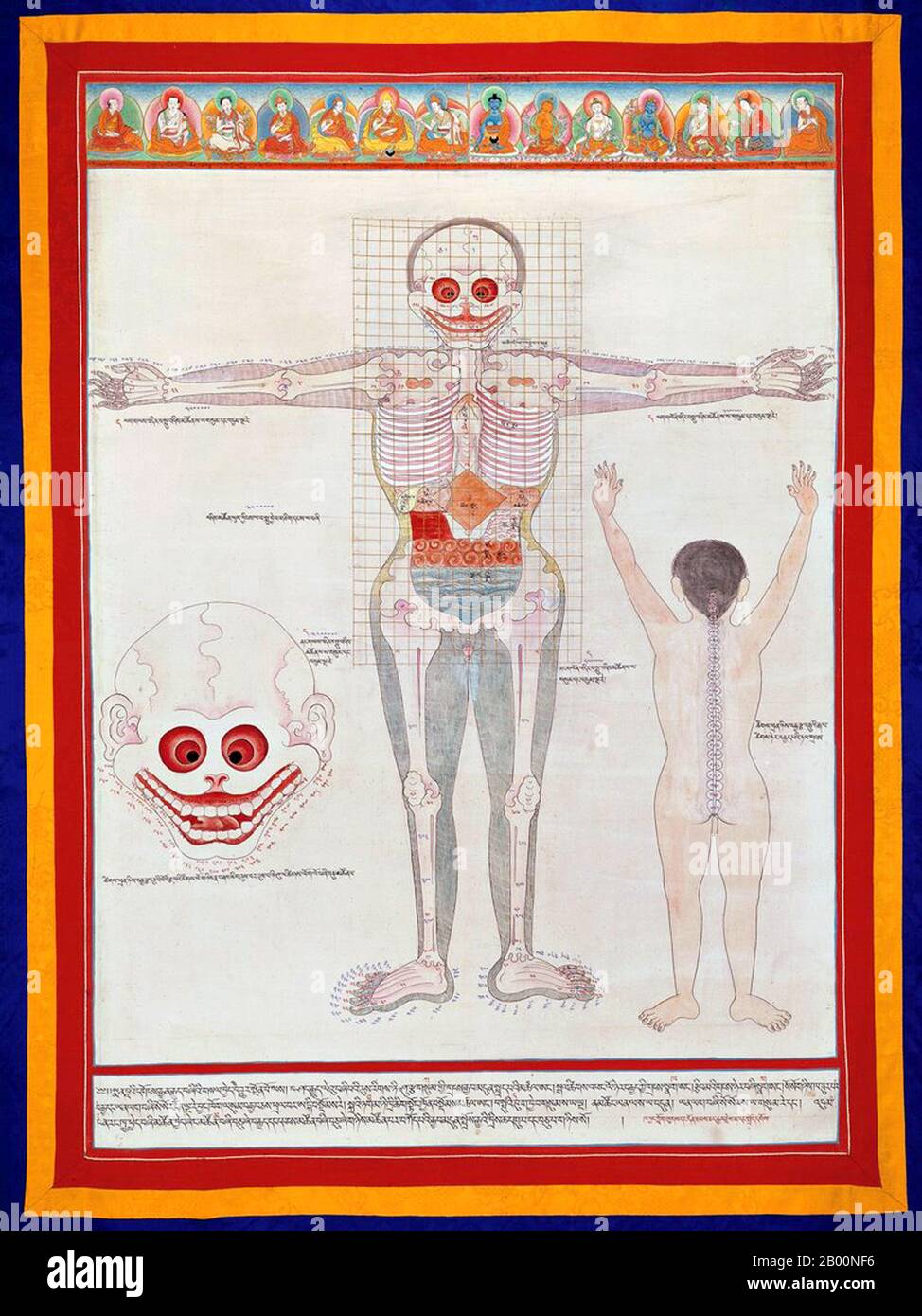 https://c8.alamy.com/comp/2B00NF6/chinatibet-anatomical-drawing-of-the-front-of-a-male-body-showing-the-bones-and-organs-early-20th-century-thangka-gouache-on-paper-tibet-tibetan-medicine-or-sowa-rigpa-healing-science-is-a-centuries-old-traditional-medical-system-that-employs-a-complex-approach-to-diagnosis-incorporating-techniques-such-as-pulse-analysis-and-urinalysis-and-utilizes-behavior-and-dietary-modification-medicines-composed-of-natural-materials-eg-herbs-and-minerals-and-physical-therapies-eg-tibetan-acupuncture-moxabustion-etc-to-treat-illness-2B00NF6.jpg