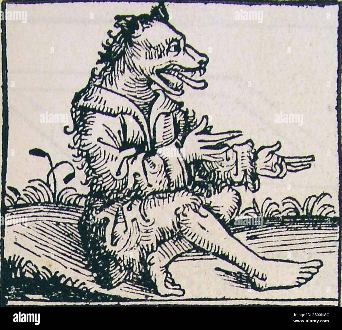 Germany: 'Man With A Dog's Head'. The Nuremberg Chronicle, by Hartmann Schedel (1440-1514), 1493.  The Nuremberg Chronicle is an illustrated world history. Its structure follows the story of human history as related in the Bible, including the histories of a number of important Western cities. Written in Latin by Hartmann Schedel, with a version in German translation by Georg Alt, it appeared in 1493. It is one of the best-documented early printed books. It is classified as an incunabulum, a book, pamphlet, or broadside that was printed (not handwritten) before the year 1501 in Europe. Stock Photo