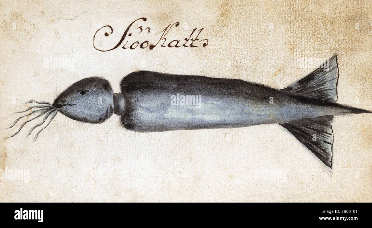 Indian Ocean/Sweden: Painting of a squid, c. 1749.  From 1746 to 1749, the Swedish ship Götha Lejon sailed on a mercantile mission to Canton. Several accounts of what transpired have survived. A handwritten journal has been attributed to Carl Fredrik von Schantz (1727-92). Another account of the mission of Götha Lejon was compiled by Carl Johan Gethe (1728-65), a cartographer and natural historian. His diary is titled ‘Diary of a Journey to East India begun on 18 October 1746 and ending June 20, 1749’. The Swedish East India Company, or SOIC, was founded in 1731. Stock Photo