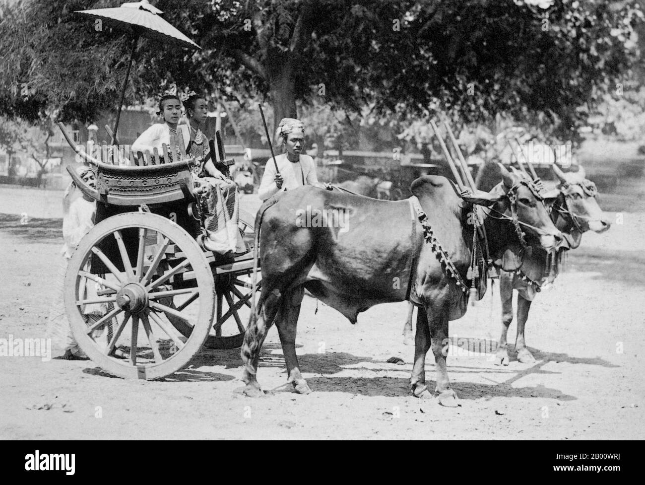 Burma/Myanmar: Two young Shan princesses stand in an oxen-drawn carriage in Kengtung in Shan State, 1900.  Located in the northeast of the country, Shan State covers one-quarter of Burma’s land mass. It was traditionally separated into principalities and is mostly comprised of ethnic Shan, Burman Pa-O, Intha, Taungyo, Danu, Palaung and Kachin peoples. Stock Photo