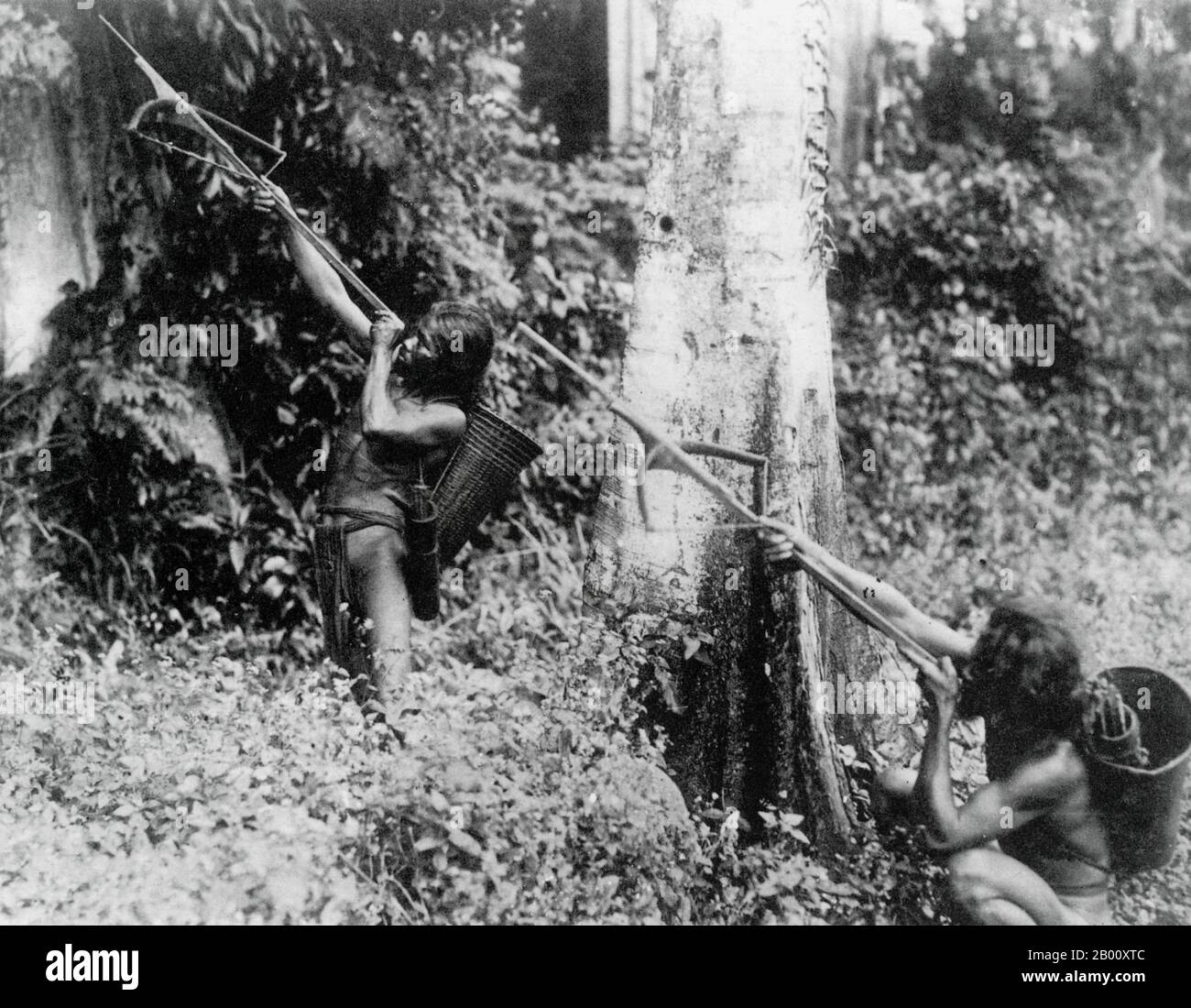 Cambodia/Laos/Vietnam: Men from the Stieng ethnic group hunt with spears in the jungle, 1920.  The Stieng people (Vietnamese: Xtieng) are an ethnic group of Vietnam and Cambodia that speak a Bahnaric language of Mon-Khmer roots. Most Stieng live in Binh Duong Province and Dong Nai Province in southeastern Vietnam. In Cambodia, they are grouped under the heading ‘Khmer Loeu’, referring to non-Khmer ethnic groups, or Degar peoples. Nowadays, many Stieng have converted to Christianity, though the total population of the group is estimated at just 6,000. Stock Photo