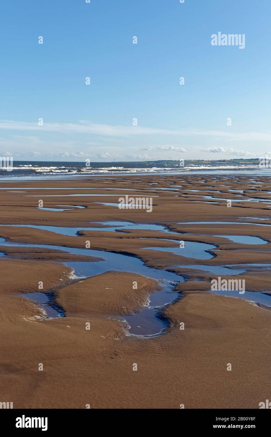 Pools of water in the sand left behind by the retreating tide at St Cyrus Nature Reserve beach on a Summers Evening. Stock Photo