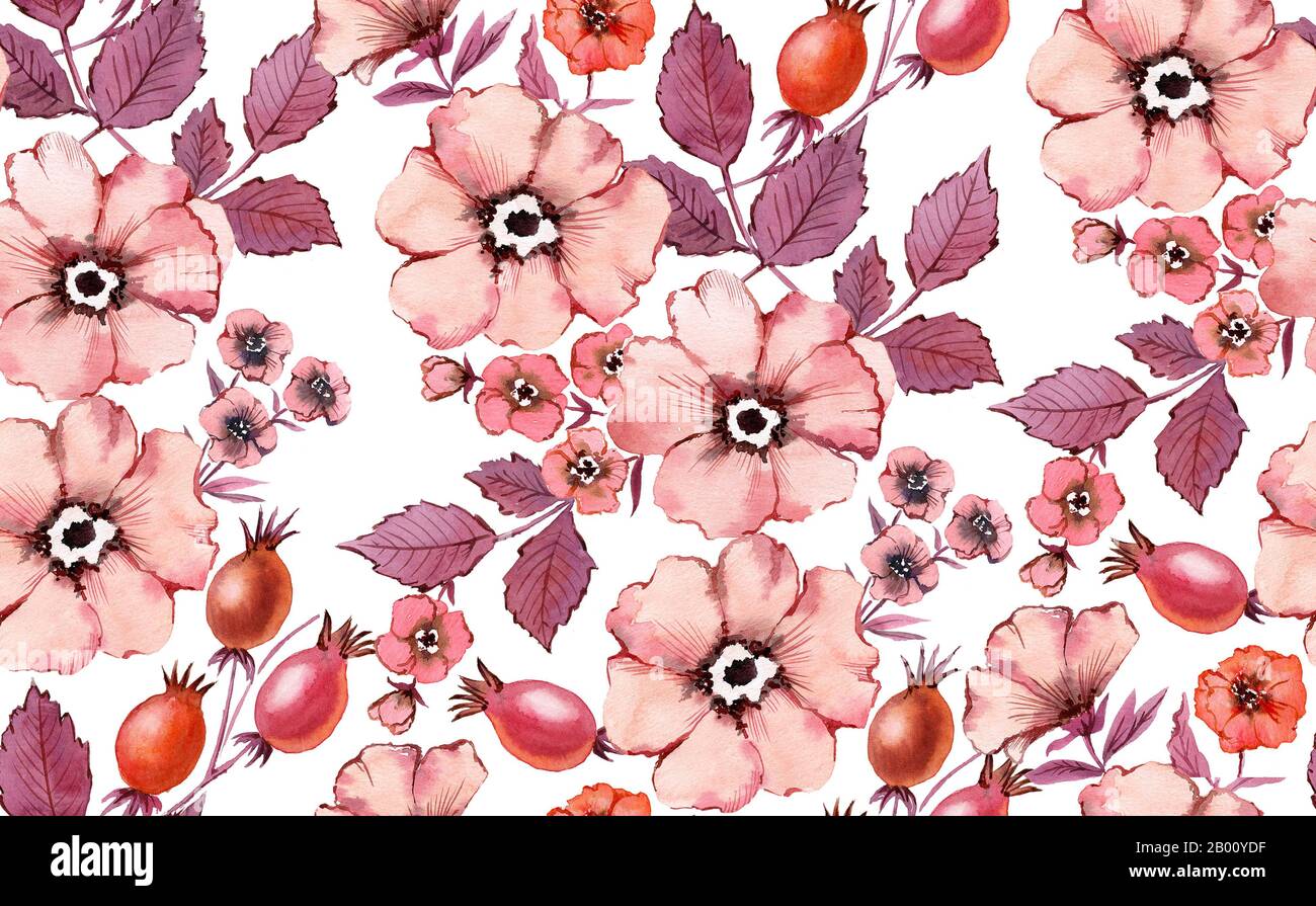 Watercolor seamless pattern. Vintage flowers in Marsala and Maroon Blush Wine colours. Autumn background. Pink rose hip fruits, briar, leaves on white Stock Photo