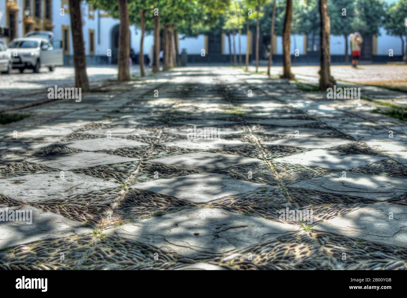 Closeup of the pavement in the Patio de Banderas, Seville, Spain.  Orange trees.  Lights and shadows. Pattern. Stock Photo