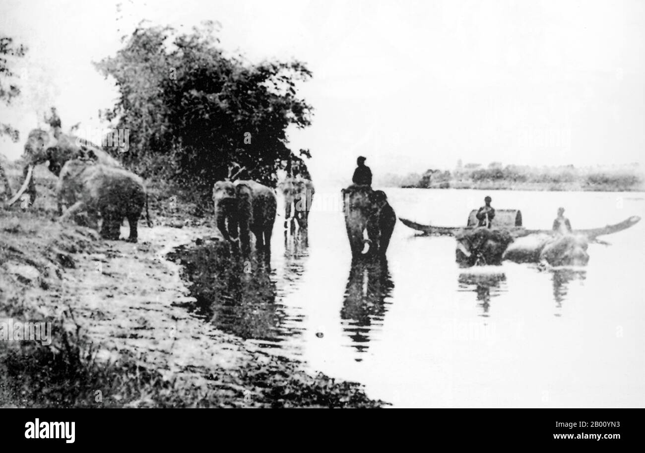 Vietnam: Royal elephants at the Huong (Perfume) River, Hue (early 20th century).  The Perfume River crosses the city of Hue in the central Vietnamese province of Thua Thien Hue. In the autumn, flowers from orchards upriver fall into the water, giving it an aromatic smell—hence the name 'Perfume River'. The Perfume River has two sources, both of which begin in the Day Truong Son mountain range and meet at Bang Lang fork. The 30-km river passes the landmarks of the Hon Chen Temple and the Ngoc Tran Temple. Stock Photo