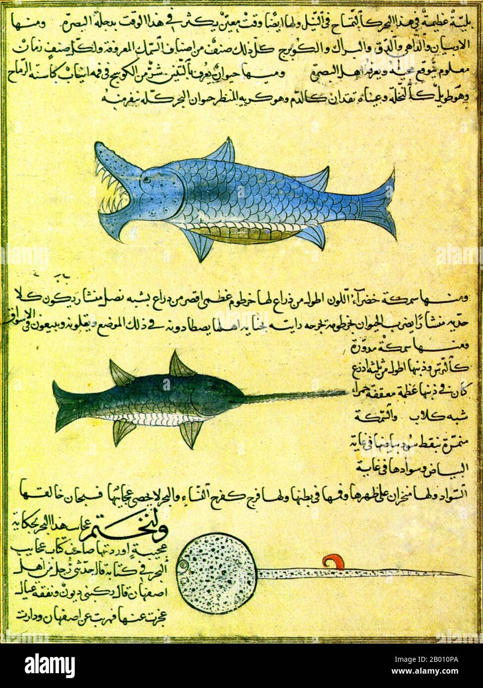 Iran/Iraq Marine creatures from alQazwini's 'Cosmography