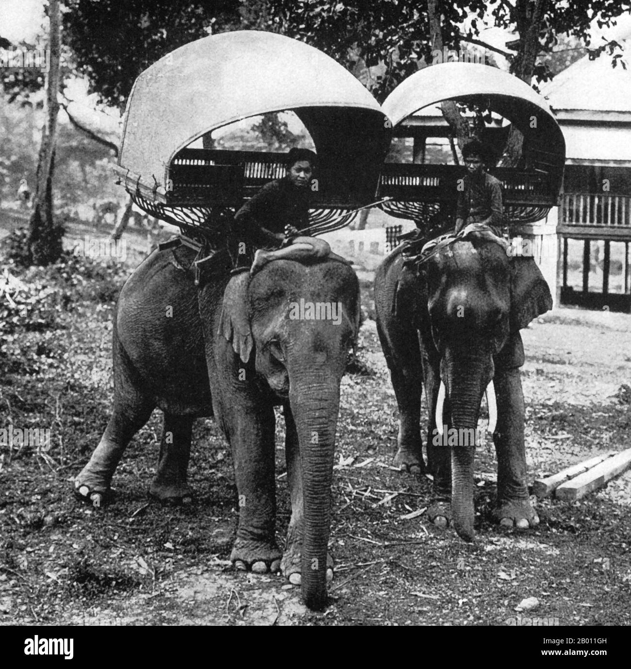 Thailand: Asian elephants saddled with howdahs in preparation for an excursion, Siam, late 19th century.  In the 19th century, the Asian Elephant held a prominent position in Siam, although they were hunted regularly north of Ayutthaya and the Lao States (present day, Chiang Mai province and Isan). Not only were elephants used as beasts of burden in agriculture and for hauling timber, but they were active in war leading cavalry charges against the enemy. Elephants were frequently employed in the Siamese-Burmese wars of the Middle Ages. Stock Photo