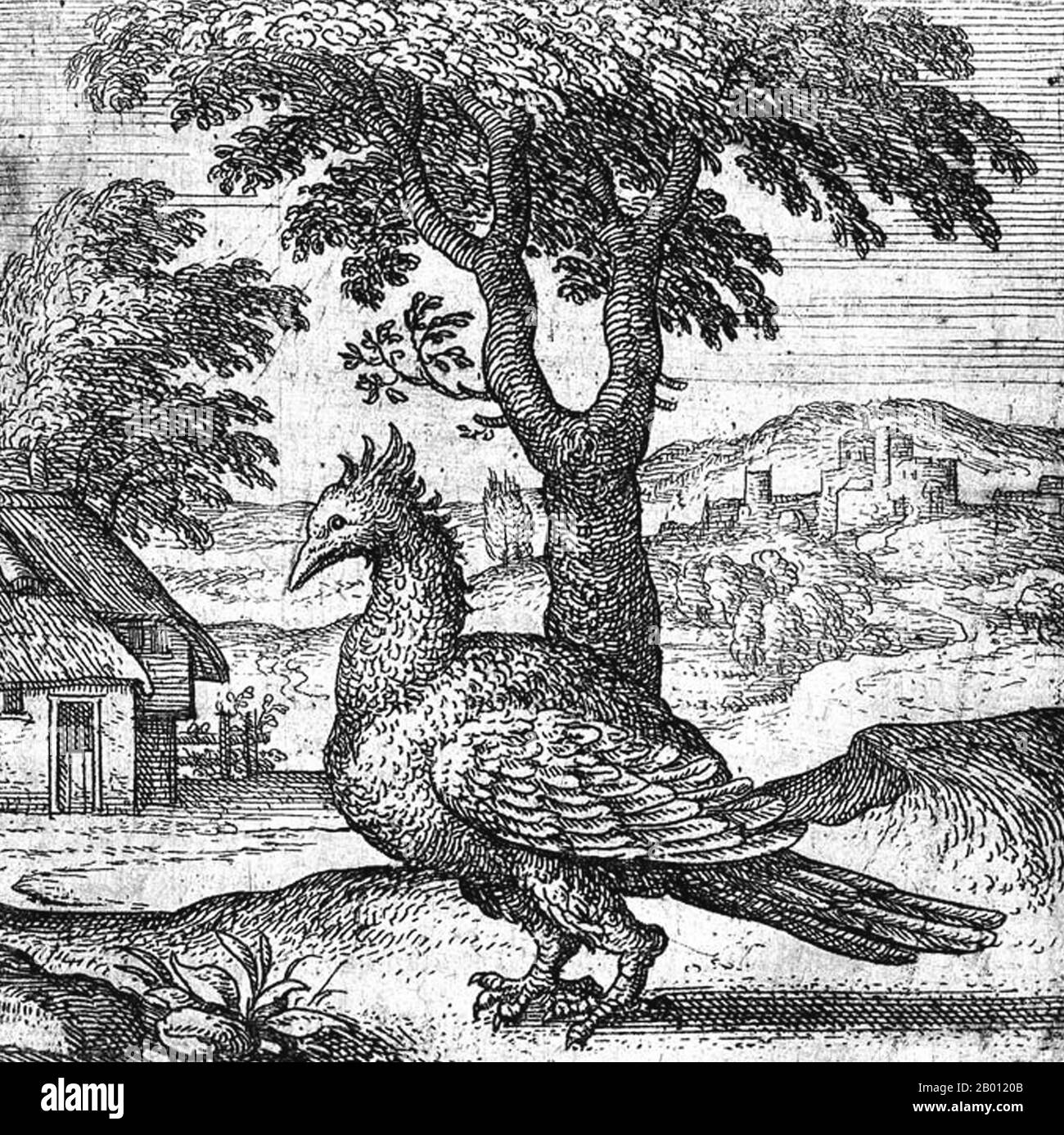 Mythology: A phoenix depicted in a copperplate engraving by Pieter van der Borcht (1530-1608), 1591.  The phoenix is a mythical sacred firebird that can be found in the mythologies of the Persians, Greeks, Romans, Egyptians, Chinese, and (according to Sanchuniathon) Phoenicians.  A phoenix is a mythical bird that is a fire spirit with a colorful plumage and a tail of gold and scarlet (or purple, blue, and green according to some legends). It has a 500 to 1000 year life-cycle, near the end of which it builds itself a nest of twigs that then ignites. The phoenix is then reborn from the ashes. Stock Photo